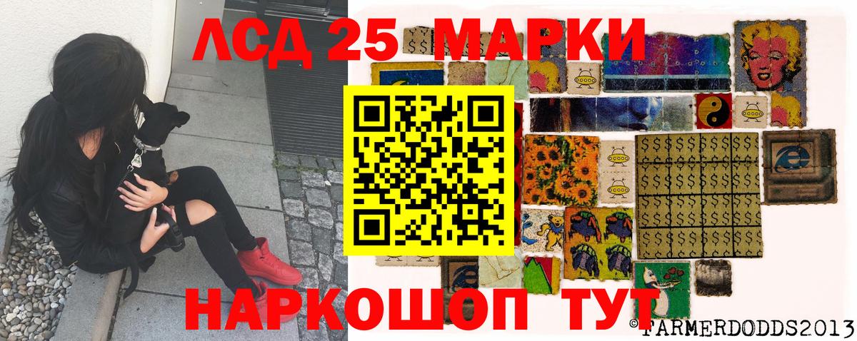 Губкинский  Марки N-bome 1,5мг  Вход с VPN 