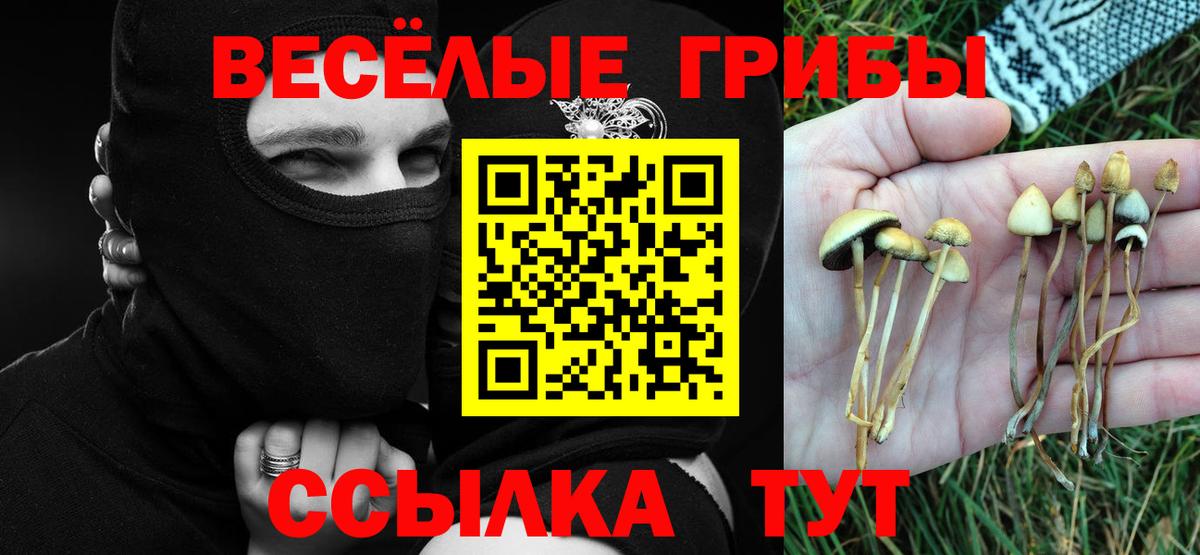 Галлюциногенные грибы GOLDEN TEACHER  Вход с VPN  Губкинский 